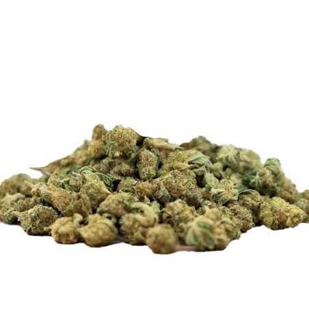 Small Buds Cannatonic - CBD Small Buds Cannatonic - CBD
