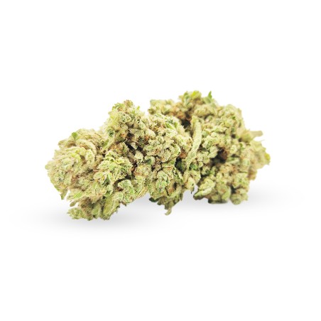 BlackBerry - CBD BlackBerry - CBD