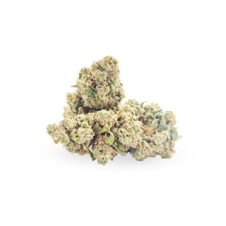 AK 47 - CBD AK 47 - CBD