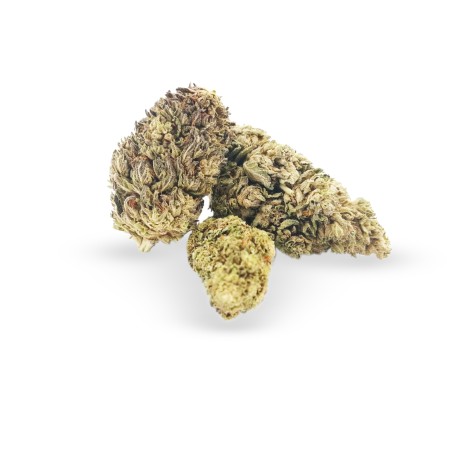 OG KUSH - CBD OG KUSH - CBD