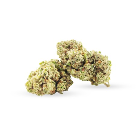 Gorilla Glue - CBD Gorilla Glue - CBD